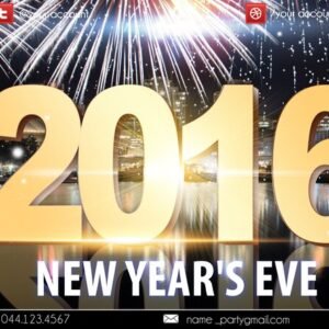 2016 party3 PSD Flyer Template